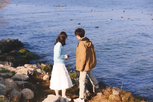 img of Serendipity.